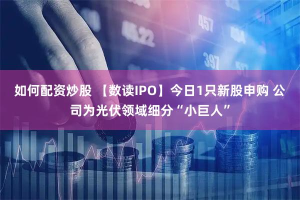 如何配资炒股 【数读IPO】今日1只新股申购 公司为光伏领域细分“小巨人”